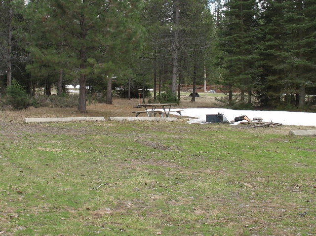 picture showing Typical campsite at Owl Creek Packer Campground.